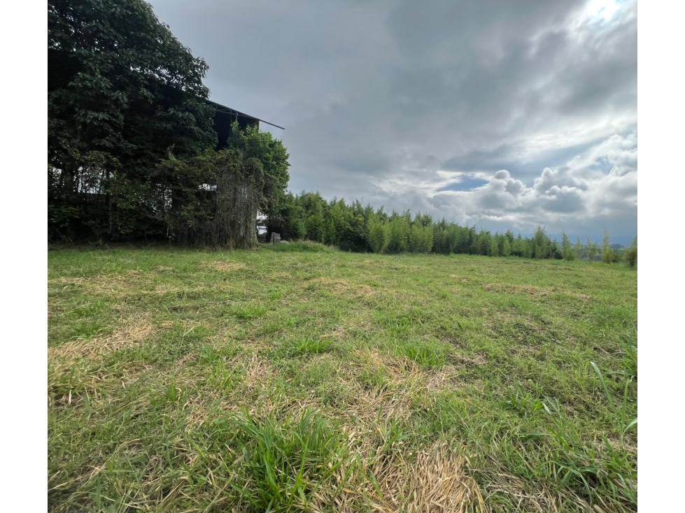 Lote industrial en venta sector Vía al Caimo
