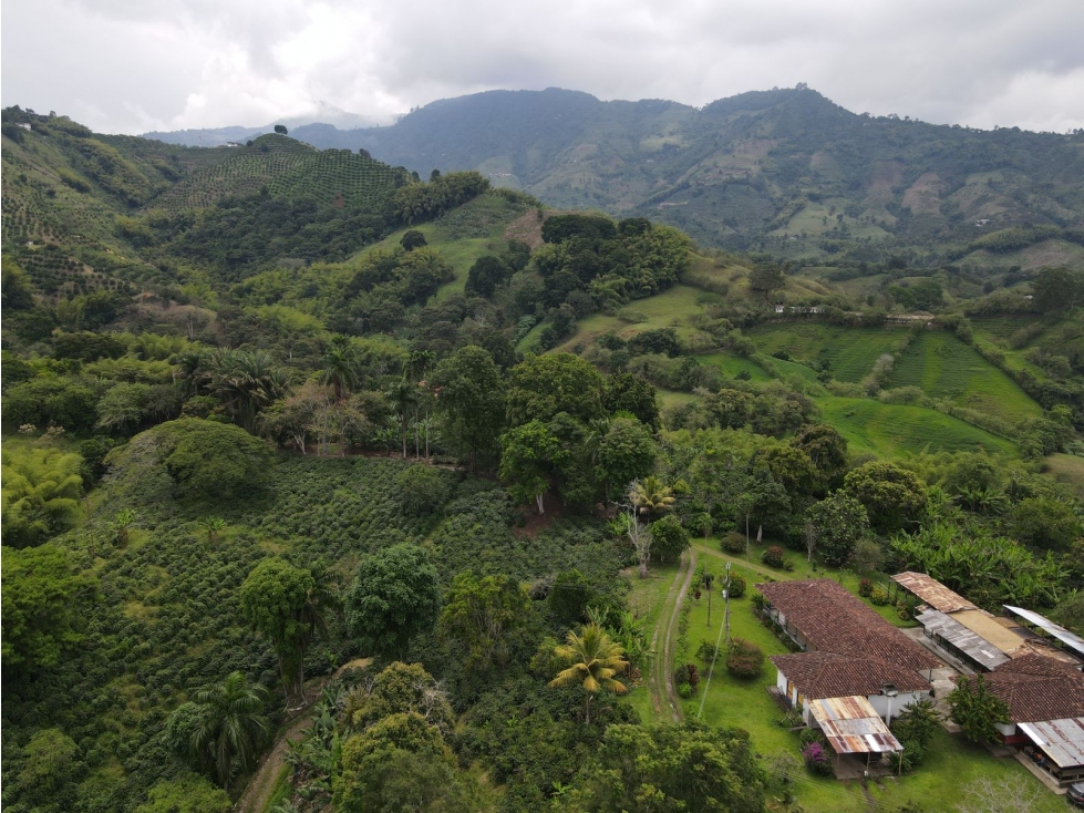 Finca en BuenaVista Quindio en venta - 5