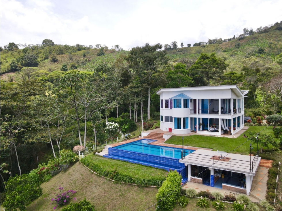 Finca de 3.5 cuadras en venta sector Buenavista Quindío - 1