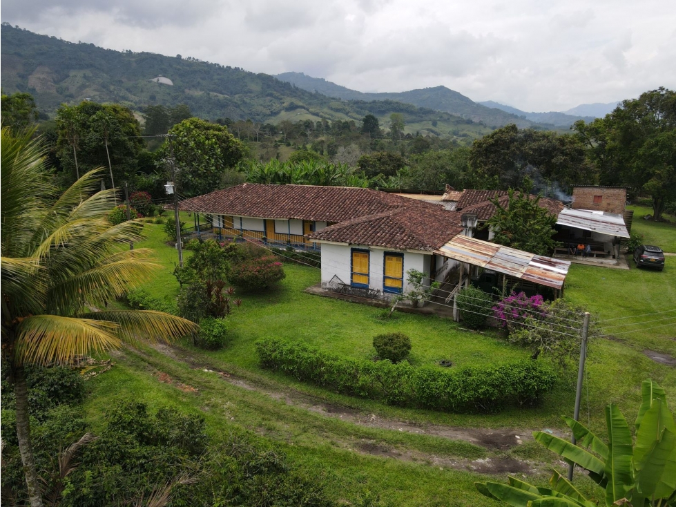 Finca en BuenaVista Quindio en venta - 6