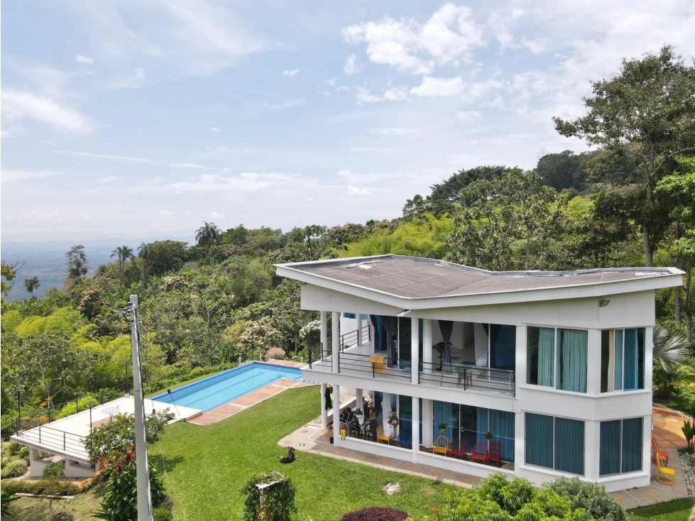 Finca de 3.5 cuadras en venta sector Buenavista Quindío - 2