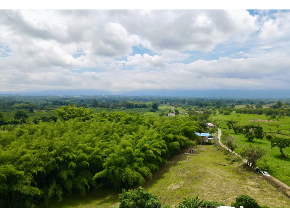 Lote en venta vía Tebaida vereda Murillo
