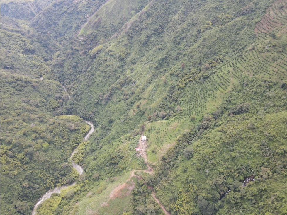 Finca certificada en venta sector Génova Quindío (120 Hectareas) - 4