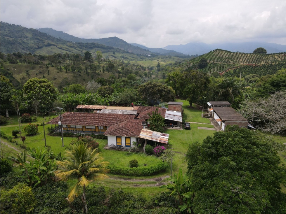 Finca en BuenaVista Quindio en venta - 1