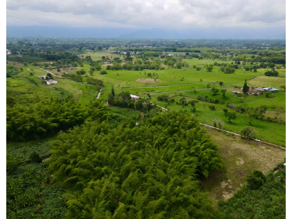 Lote en venta vía Tebaida vereda Murillo — foto 2