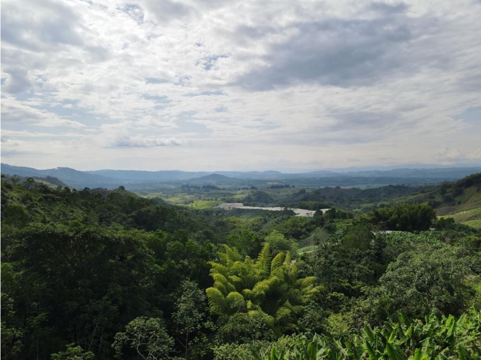 Se vende finca-lote cerca a Buenavista ideal para turismo o vivienda - 3