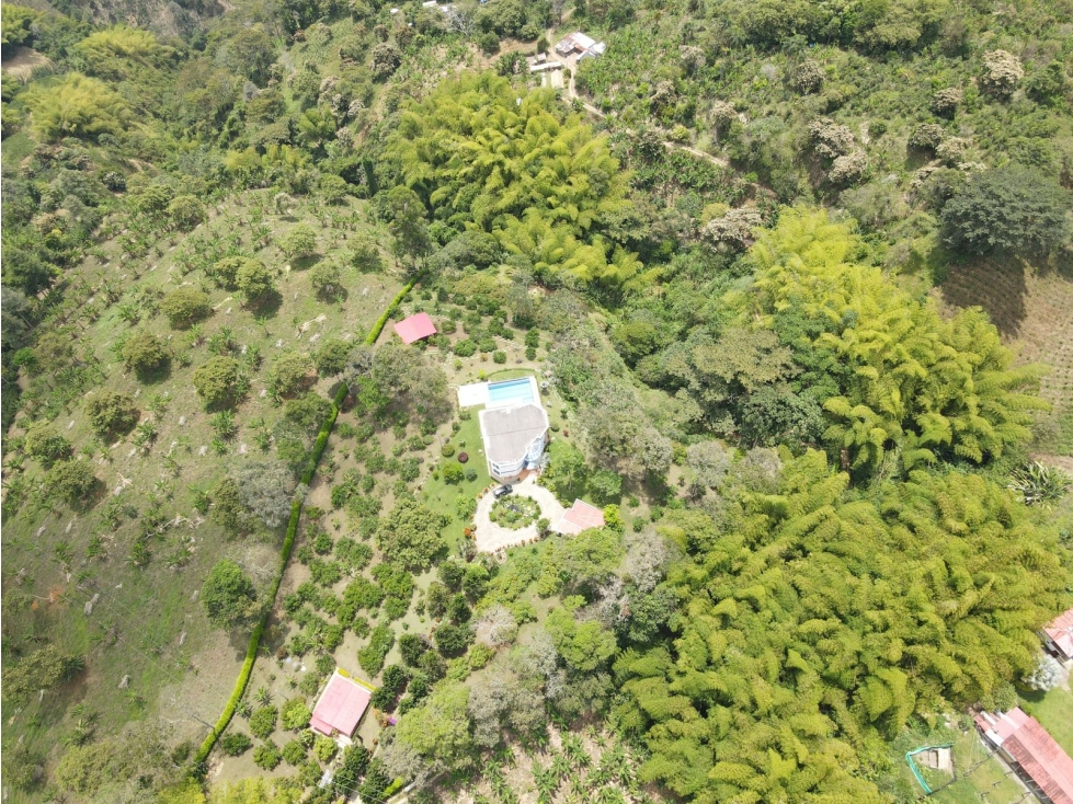 Finca de 3.5 cuadras en venta sector Buenavista Quindío - 6