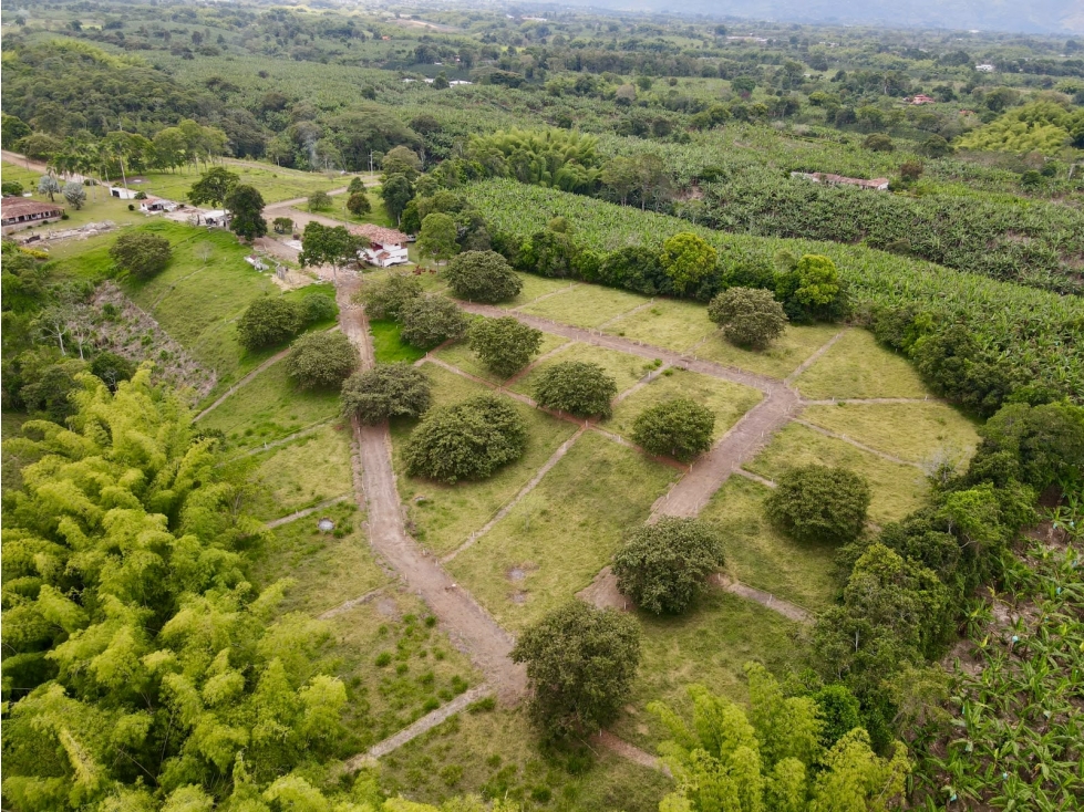 Lotes campestres en venta sector Vía Armenia- Pueblo Tapao - 1
