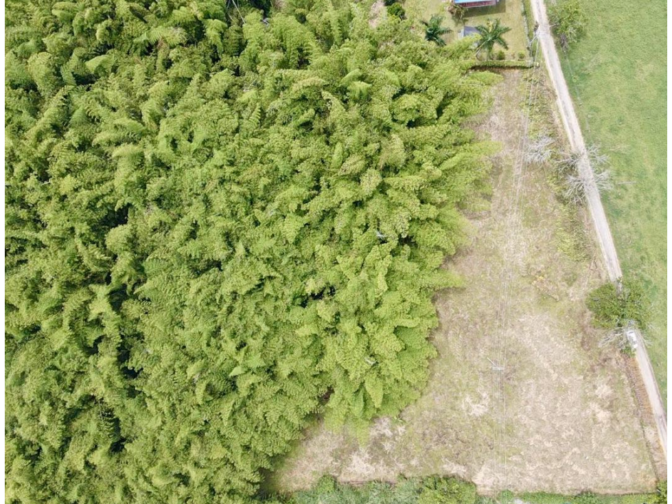 Lote en venta vía Tebaida vereda Murillo — foto 4