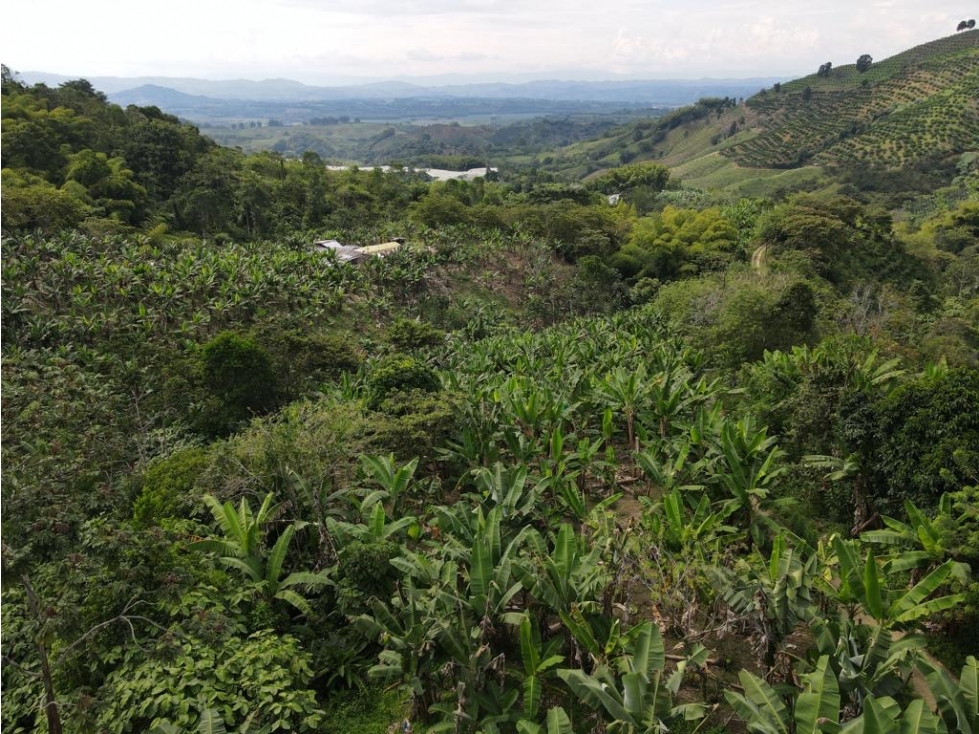 Se vende finca-lote cerca a Buenavista ideal para turismo o vivienda - 4