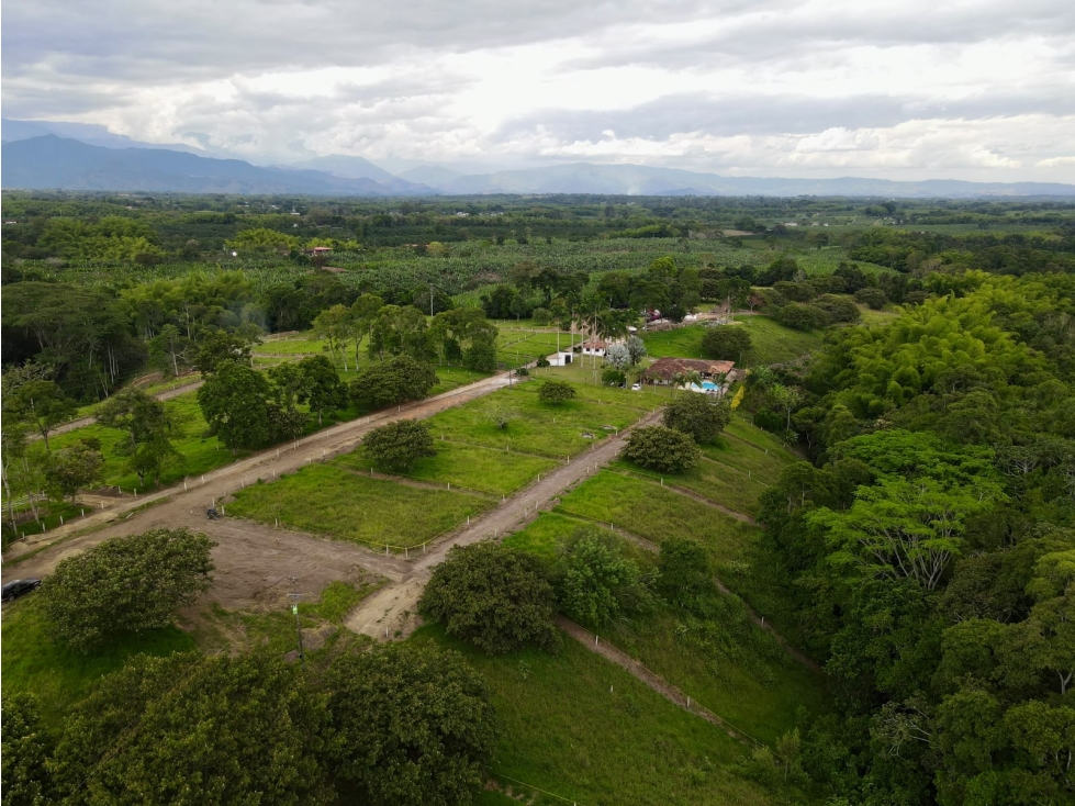 Lotes campestres en venta sector Vía Armenia- Pueblo Tapao - 3