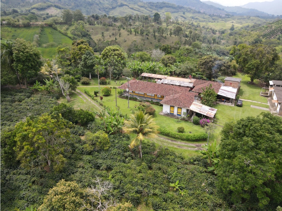 Finca en BuenaVista Quindio en venta - 2