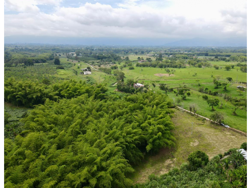 Lote en venta vía Tebaida vereda Murillo — foto 3