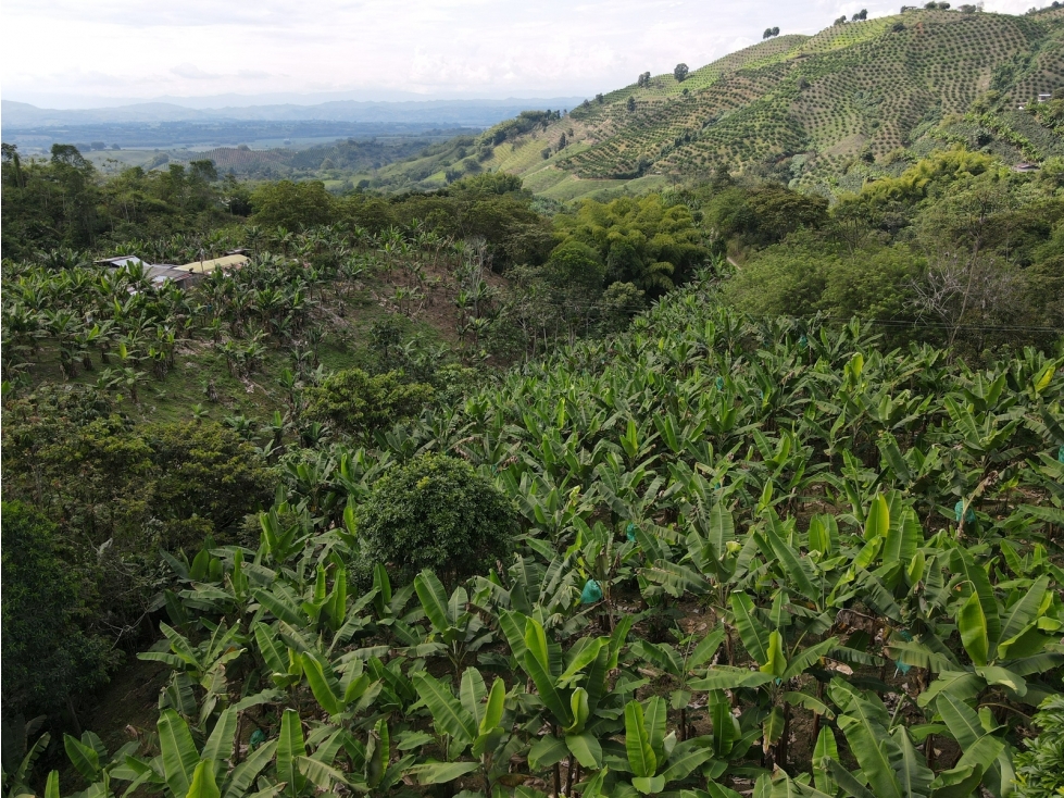 Se vende finca-lote cerca a Buenavista ideal para turismo o vivienda - 1