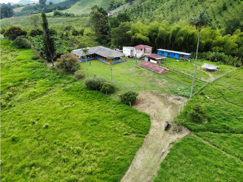 Finca en venta sector Circasia