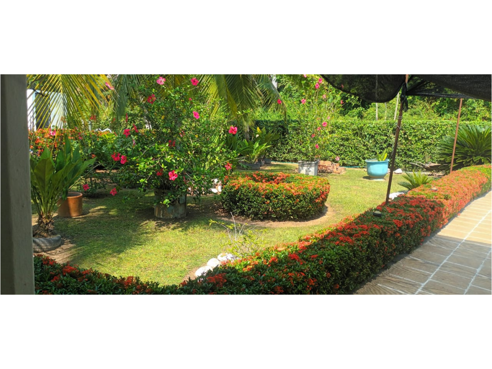 VENTA HERMOSA FINCA - CARMEN DE APICALA - 5