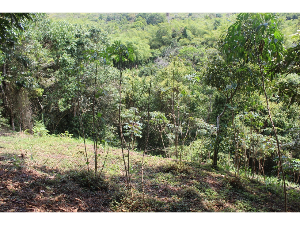 Vendo casa campestre en el carmen, dagua - 5