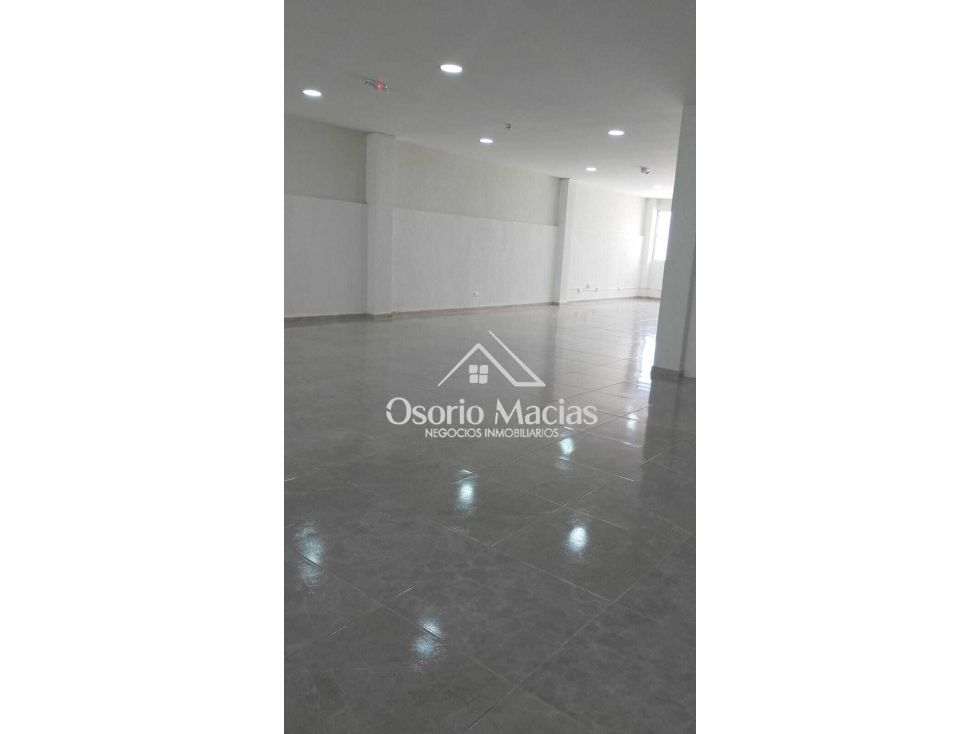 ARRIENDO BODEGA ALTA SUIZA - 6