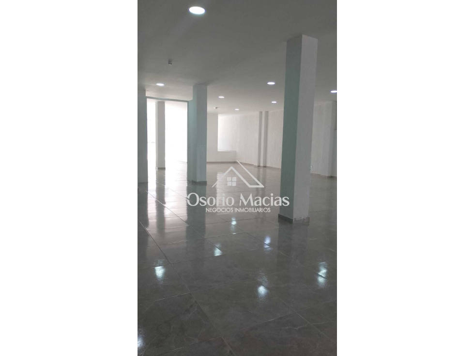 ARRIENDO BODEGA ALTA SUIZA - 3