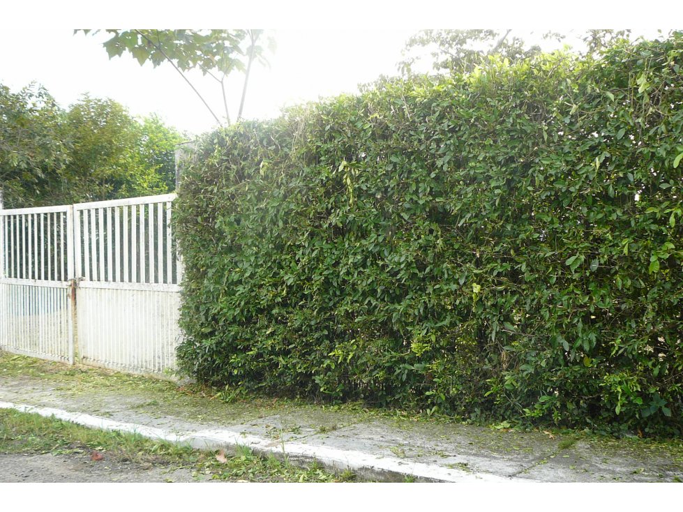 VENTA DE LOTE APARCO - IBAGUE