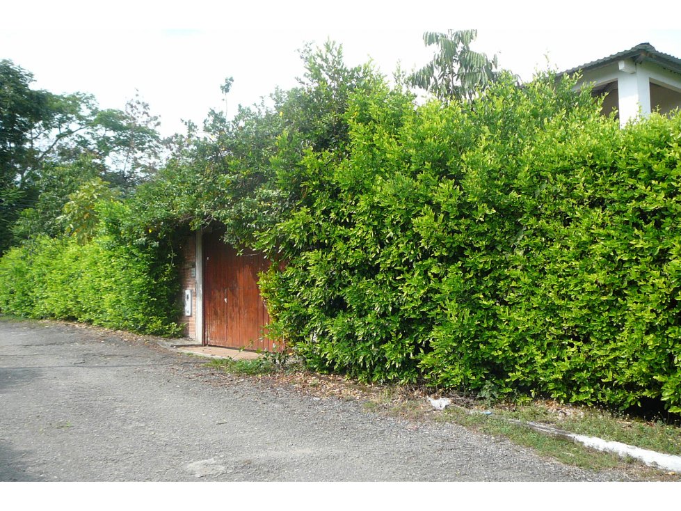 VENTA DE LOTE APARCO - IBAGUE — foto 5