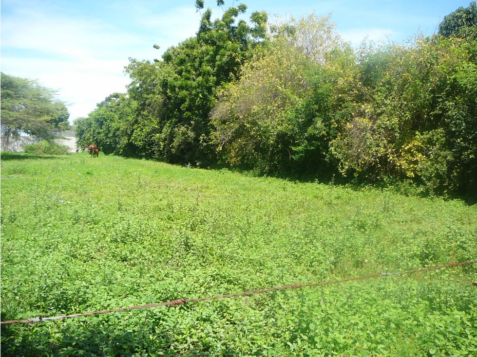 VENTA LOTE RICAURTE CUNDINAMARCA - 3