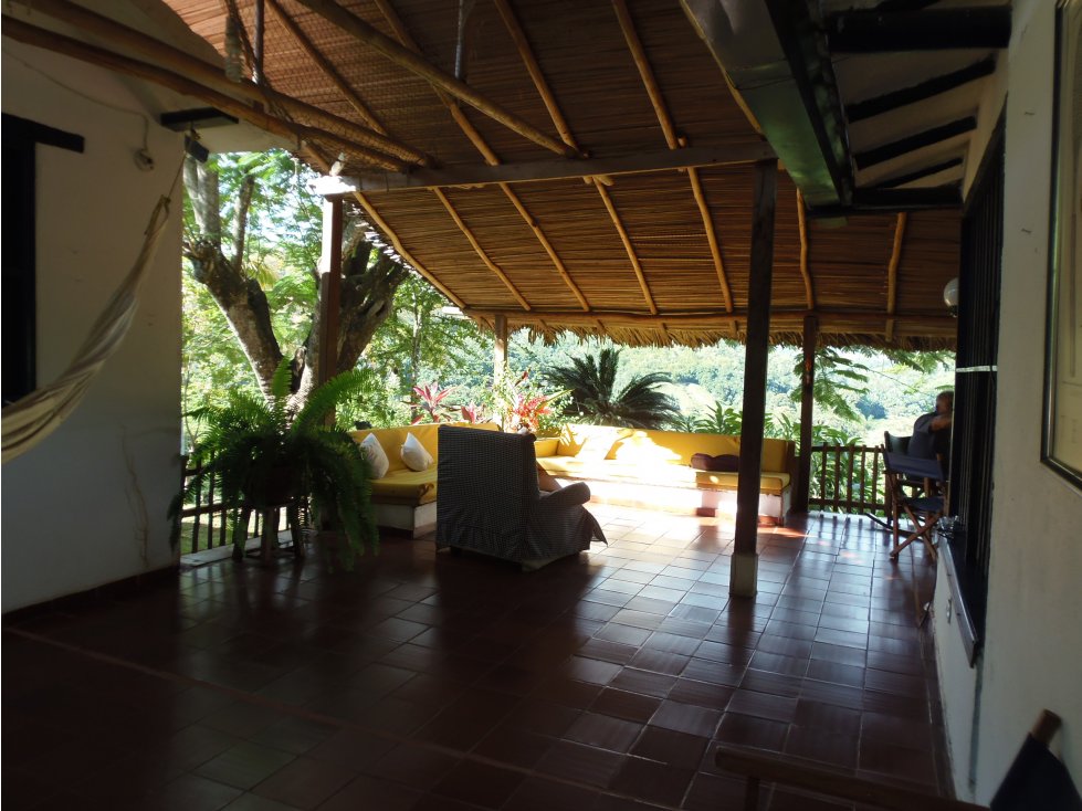 VENTA FINCA CARMEN DE APICALA - TOLIMA - 1
