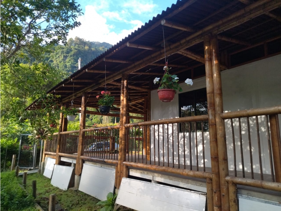 PRECIOSA CASA VILLA RESTREPO CON NEGOCIO INCLUIDO - IBAGUE — foto 3