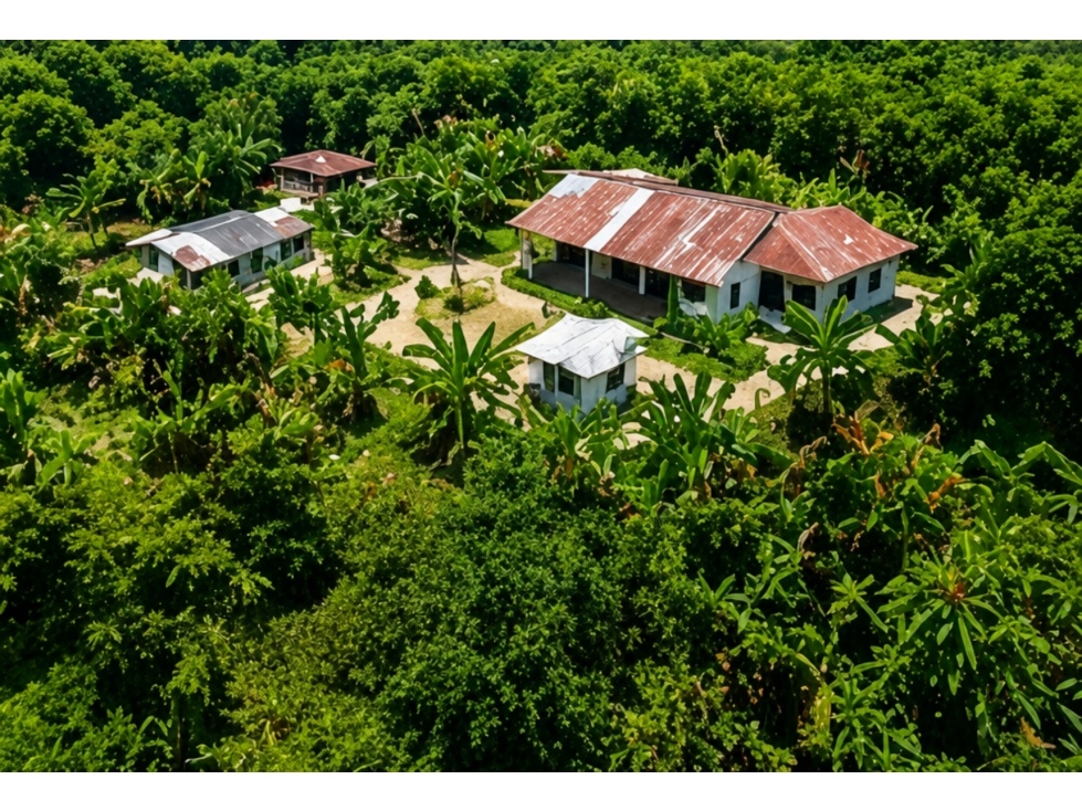 FINCA CACAOTERA PRODUCTIVA DE 46 HECTÁREAS MARIQUITA, TOLIMA - 2