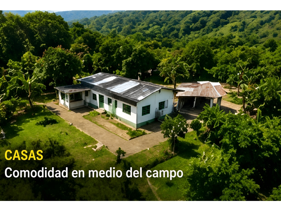 FINCA CACAOTERA PRODUCTIVA DE 46 HECTÁREAS MARIQUITA, TOLIMA - 4