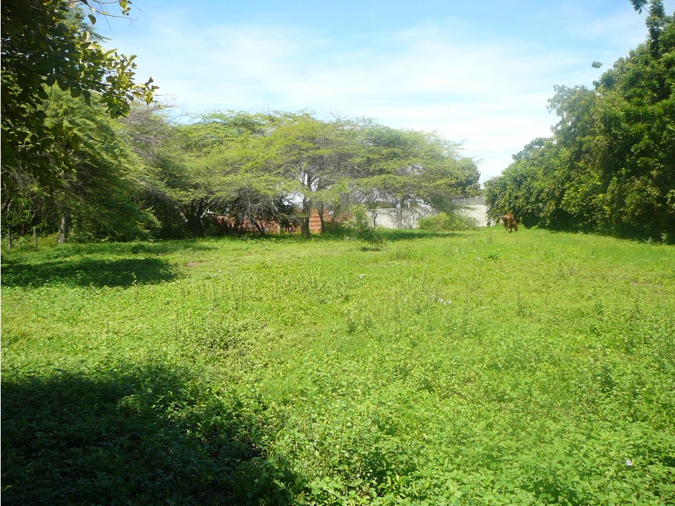 VENTA LOTE RICAURTE CUNDINAMARCA - 1