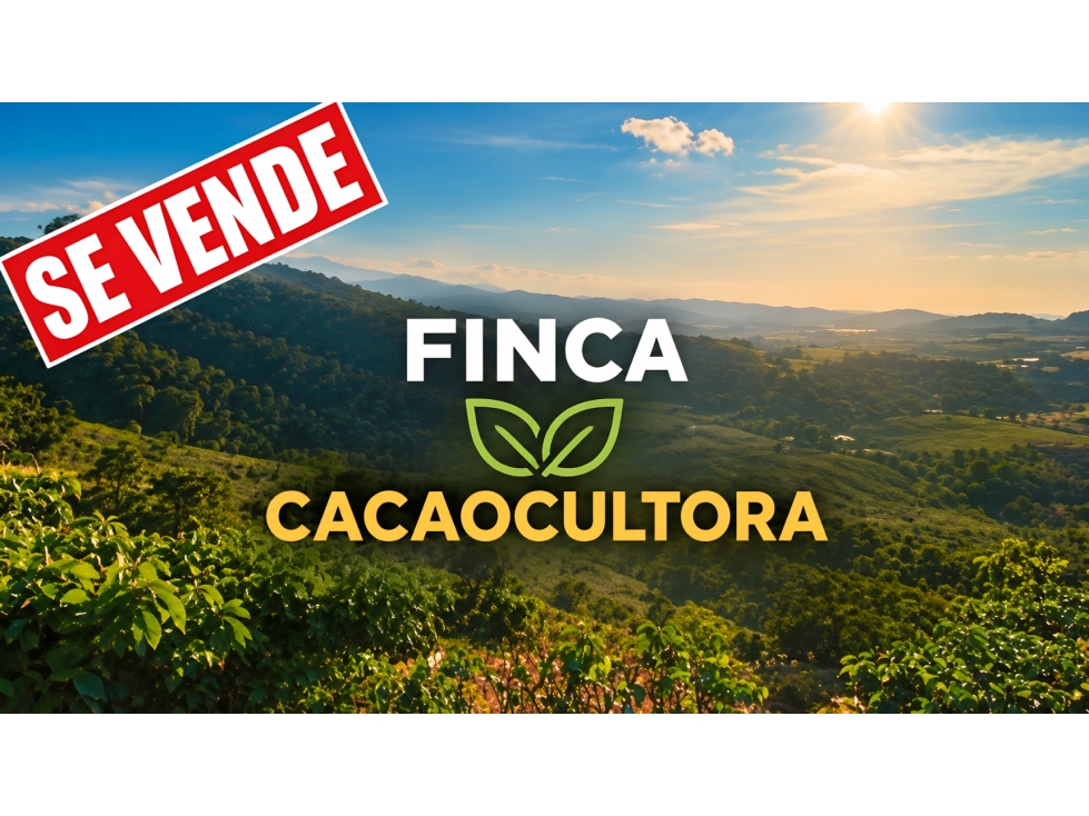 FINCA CACAOTERA PRODUCTIVA DE 46 HECTÁREAS MARIQUITA, TOLIMA - 1