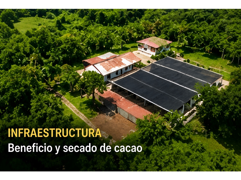 FINCA CACAOTERA PRODUCTIVA DE 46 HECTÁREAS MARIQUITA, TOLIMA - 6