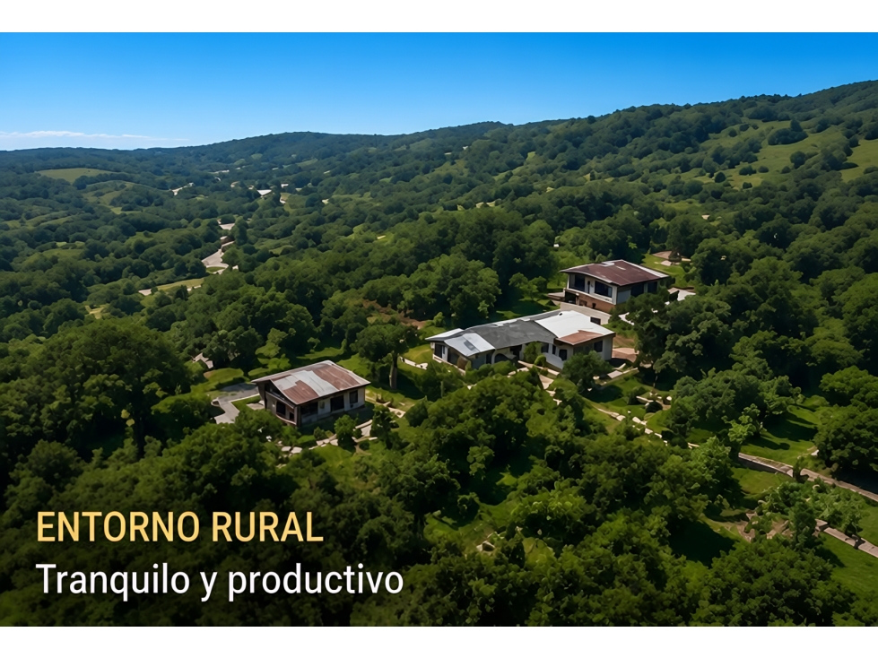 FINCA CACAOTERA PRODUCTIVA DE 46 HECTÁREAS MARIQUITA, TOLIMA - 5