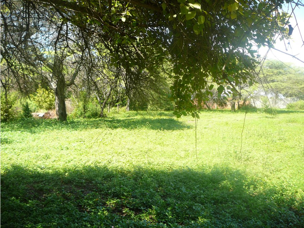VENTA LOTE RICAURTE CUNDINAMARCA - 4