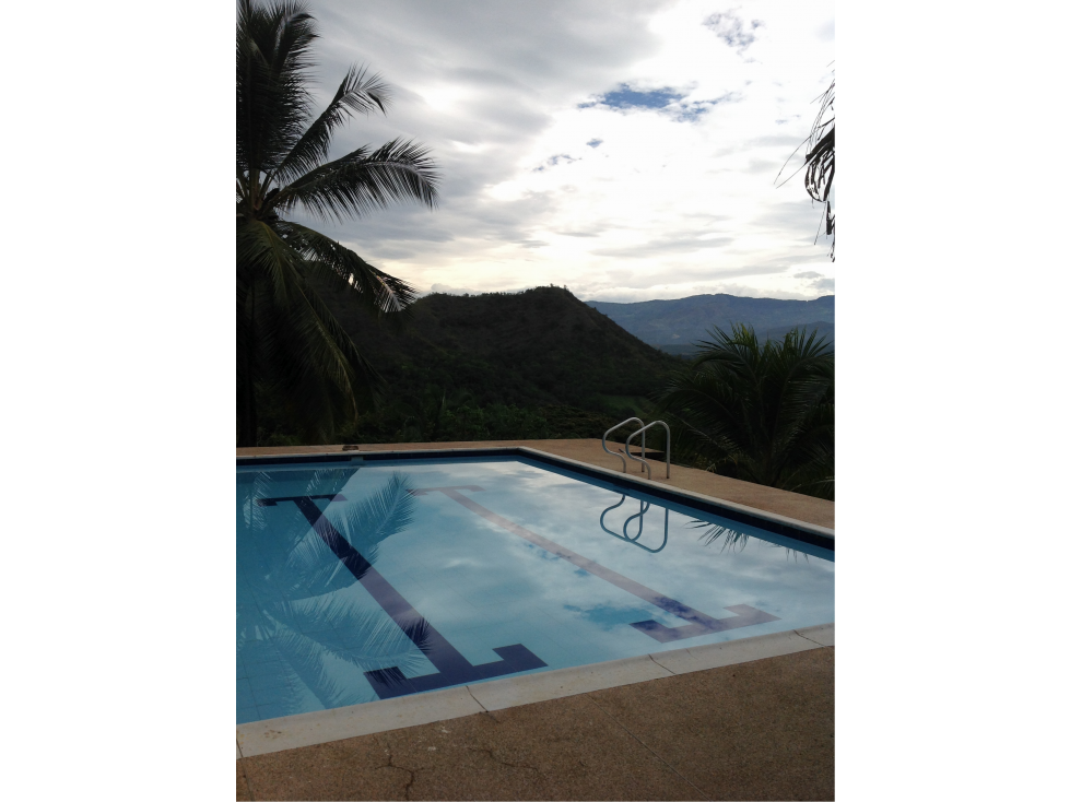 VENTA FINCA CARMEN DE APICALA - TOLIMA - 5