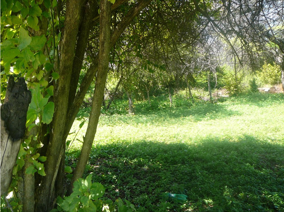 VENTA LOTE RICAURTE CUNDINAMARCA - 5