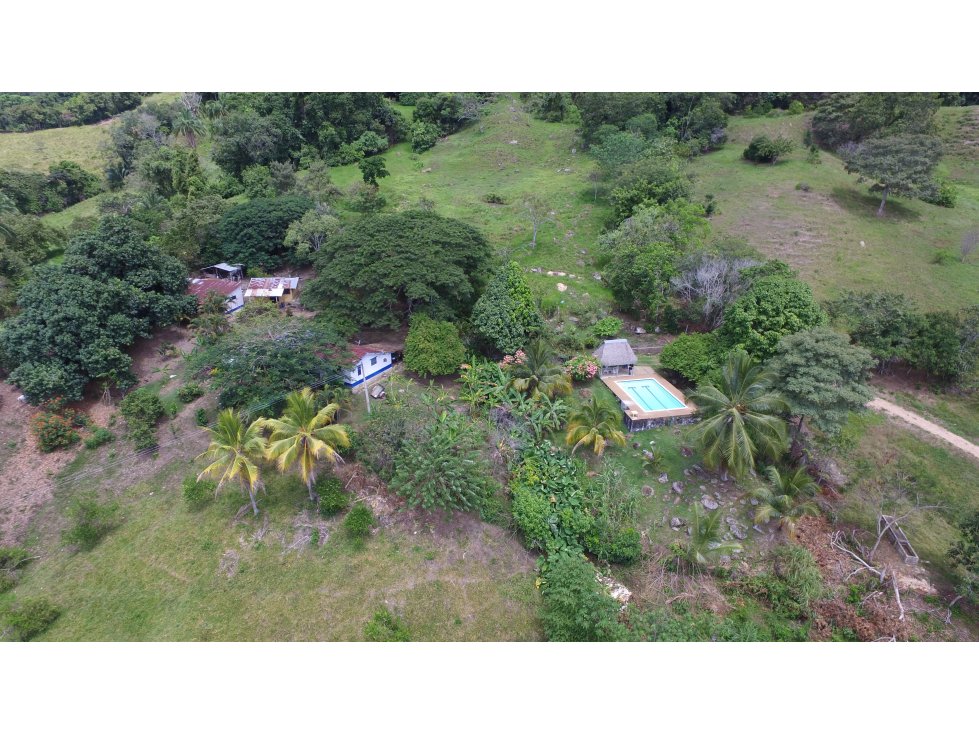 VENTA FINCA CARMEN DE APICALA - TOLIMA - 4