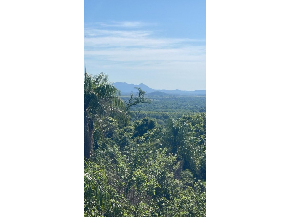 Vendo 9 hectáreas en Caballero con vistas al cerro Acahay, Santo Tomás - 1