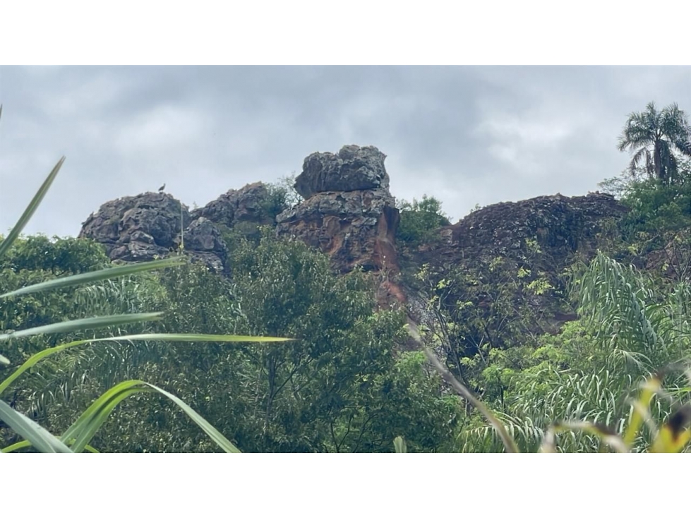 Vendo 14,6 hectáreas en Caacupé con vista al Cerro Kavaju - 2