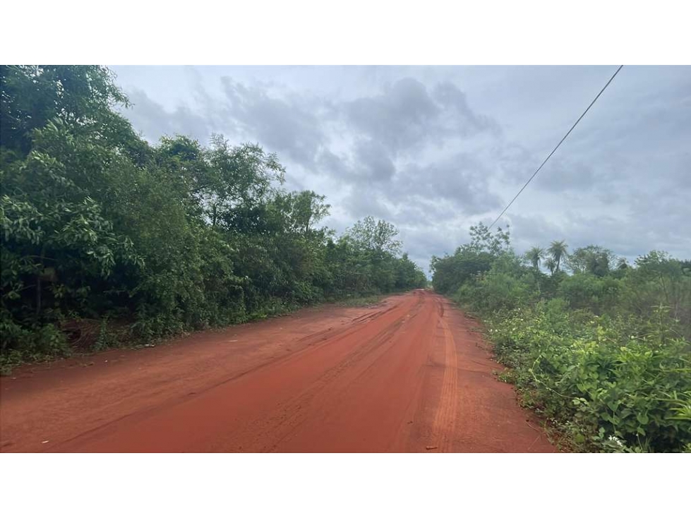 Vendo propiedad de 12,6 ha en Carapeguá - 3
