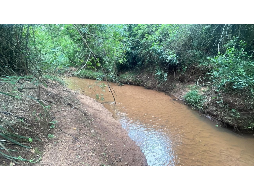 Inversión Agropecuaria en Paraguay: 90 Ha en Acahay con arroyo - 1