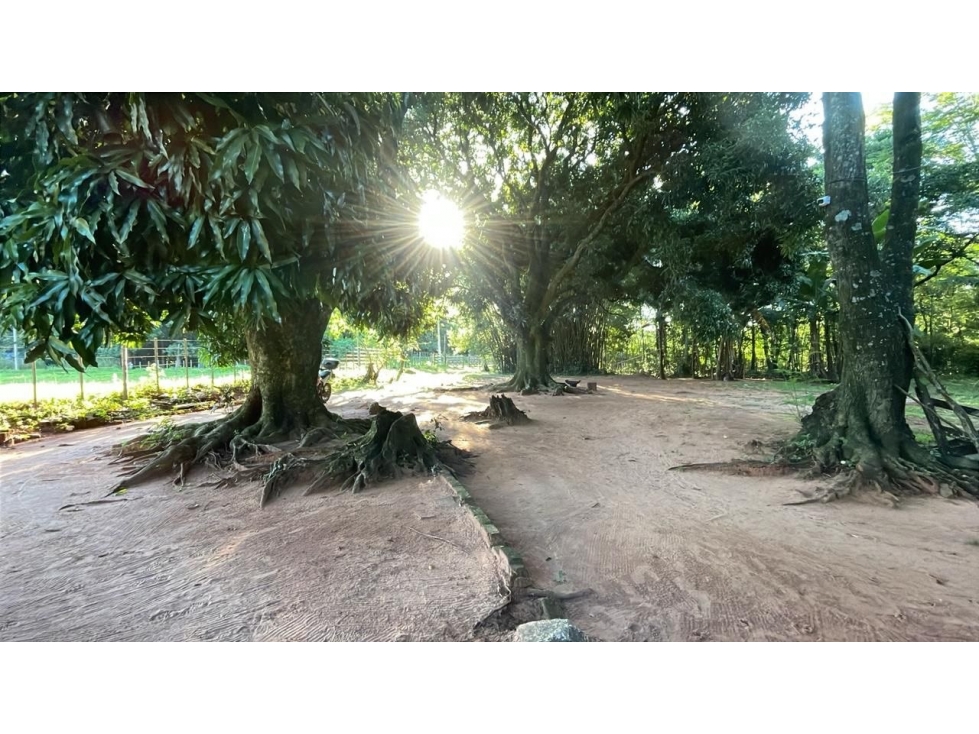 Venta de Quinta de 2,5 Hectáreas con Casa en Acahay, Paraguay - 1