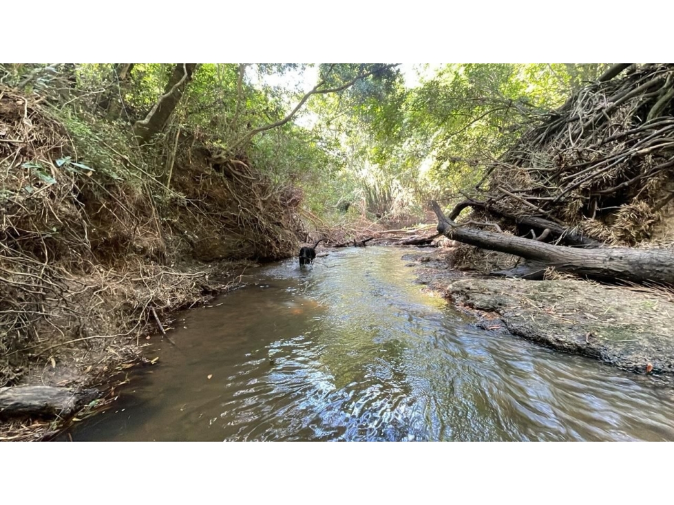 Campo de 34 Hectáreas con arroyo y vistas en Venta en Acahay, Paraguay - 1