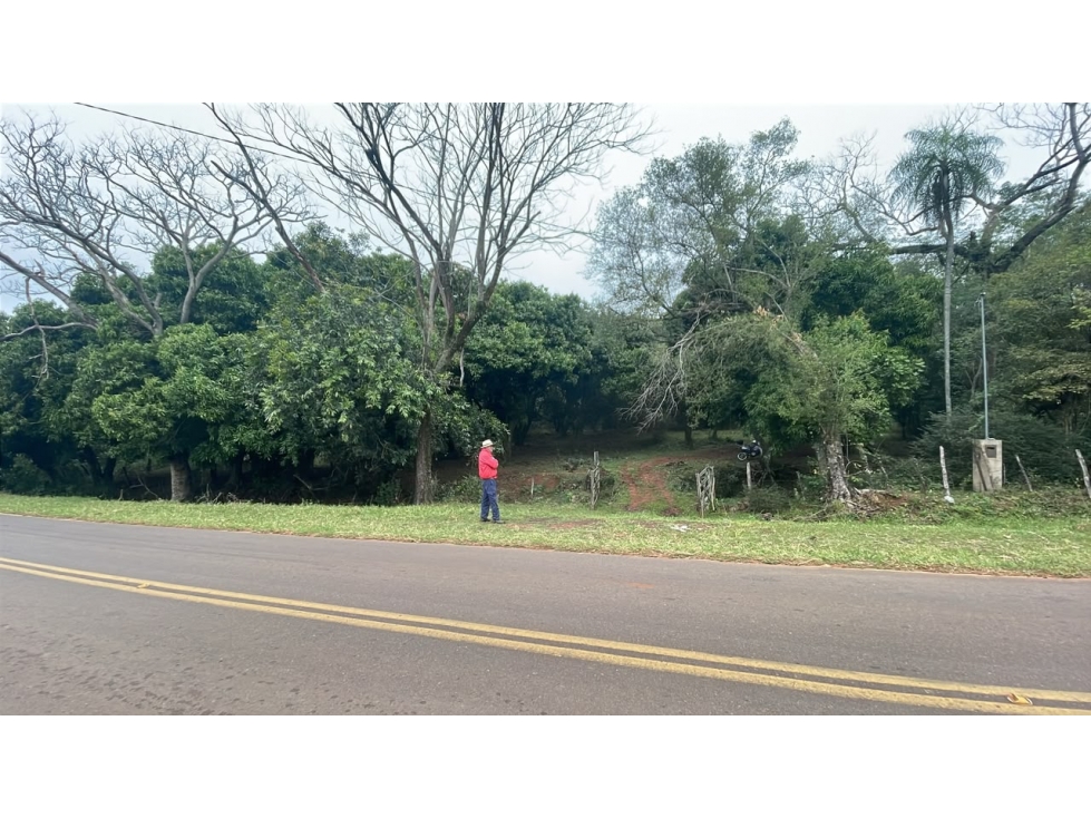 35 hectáreas en Caballero - Arroyo, cerro, árboles - 3