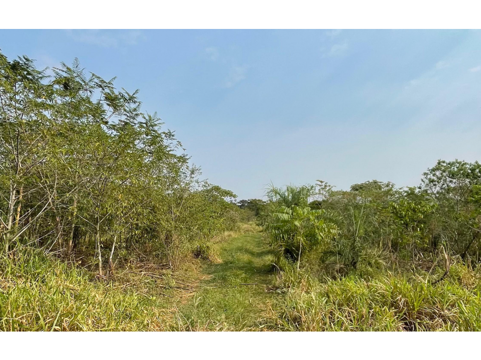 Vendo 5 hectáreas en Arroyos y Esteros Zona San Antonio - 1