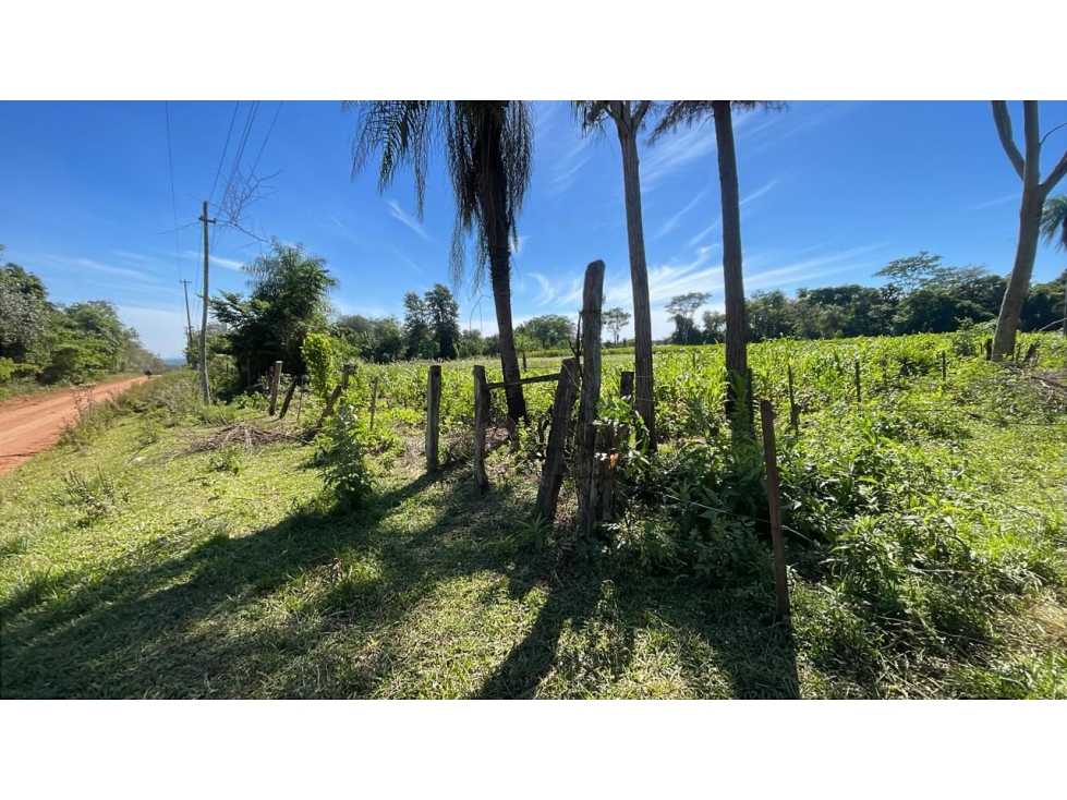 Vendo 10 hectáreas en San José de los Arroyos - 1