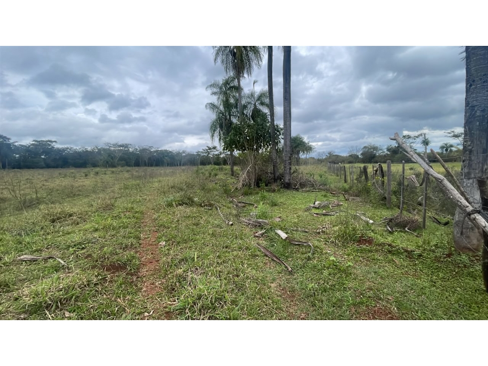 Vendo 3,5 hectáreas en Ybycui - 2