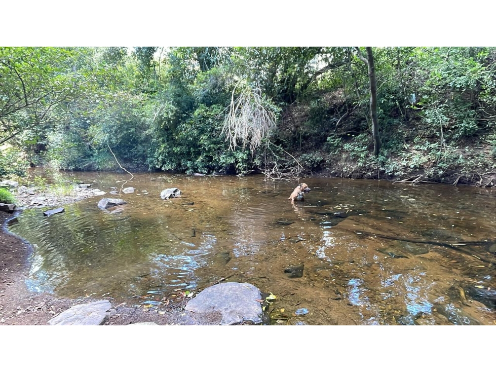 Campo 17,7 ha con casa y arroyos en Sapucai | 44-acre farm with house - 5