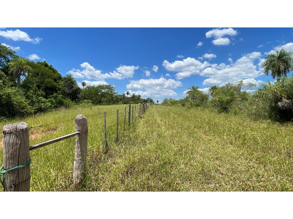 50-Hectare/123.5 Acres Piribebuy Livestock & Intensive Feedlot Farm - 3